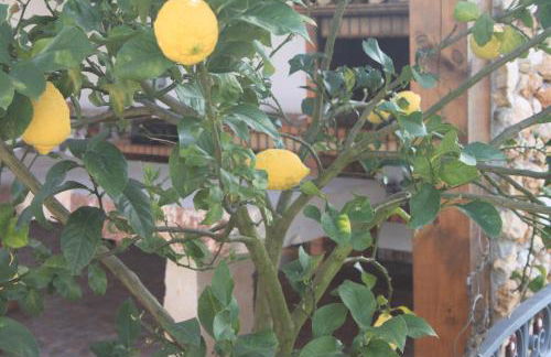 Quinta de São João - Foto 11