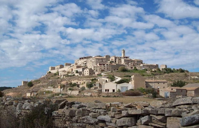 Rural Horizons - Foto 23