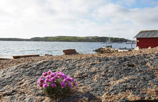 4 Person Holiday Home in Bovallstrand-by Traum - Foto 18