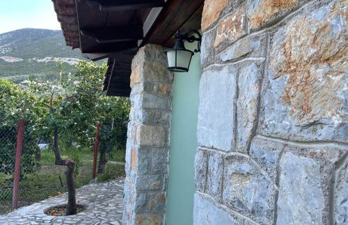 Citrus garden - Photo 21