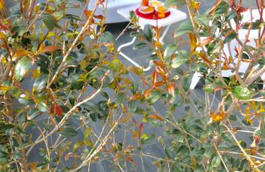 Etna Holidays Home SereLeo - Foto 66