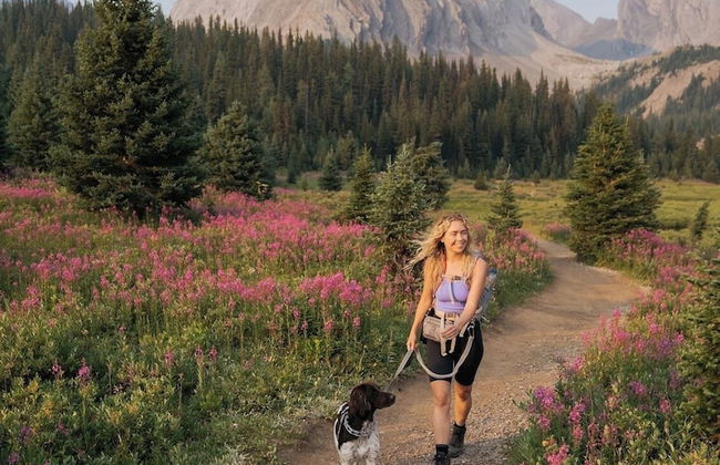 Skyridge Glamping - Foto 37