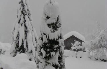 Apartments Residence Alta Badia - Foto 28