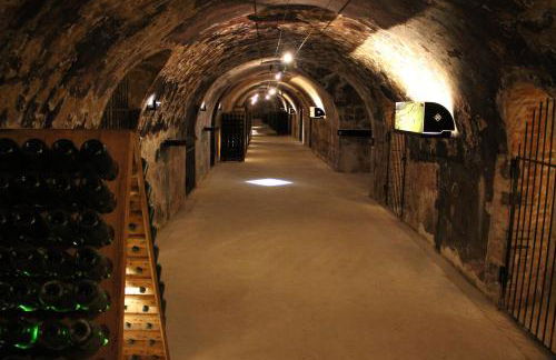 Enjoy en Champagne maison calme au milieu du vignoble avec parking gratuit - Foto 34