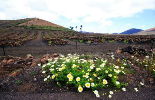 ALOELUX VILLA !! - Private Villa with POOL , jacuzzi, cinema, massage ,wonderful view, art desing villa - Photo 31