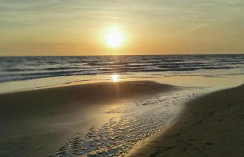 Villa Lido dei Pini 4 persone giardino 350mq wifi 3 chilometri dal mare - Foto 23