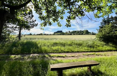 Ferienwohnung Bertchen - barrierefrei mit Südterrasse und Carport in ruhiger Altstadtlage von Ballenstedt - Foto 35