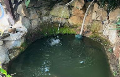 Santa Barbara Spanish Home - Foto 12