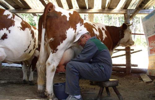 Agriturismo Barba Gust - Foto 66