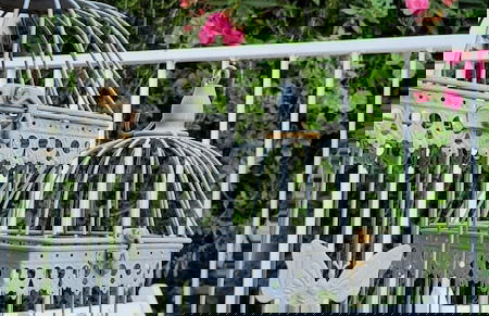 Red House by the River - Foto 26