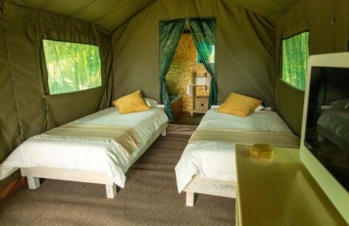 Safari Glamping Portugal Koi Fish - Foto 44