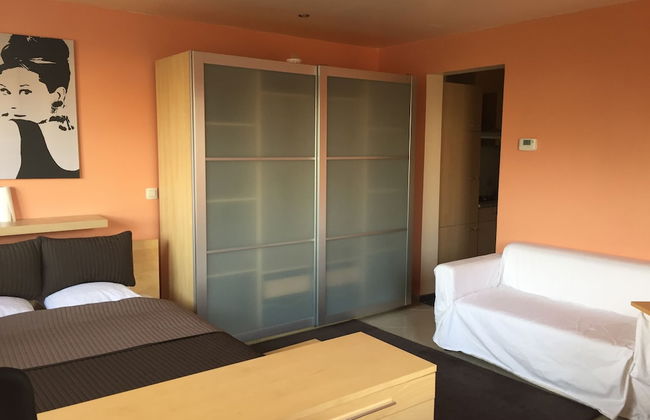 Residence la Fraisiere - Foto 51