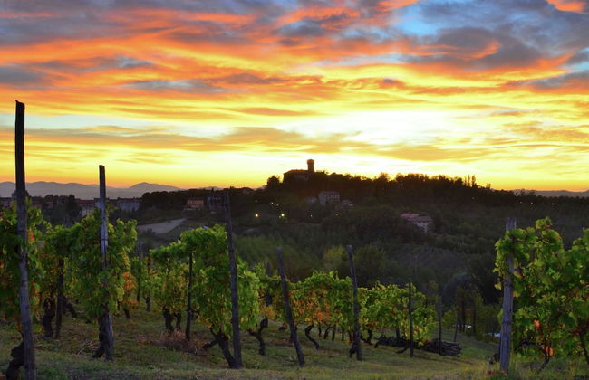 Guest House in Monferrato With Wine Tasting - Foto 23