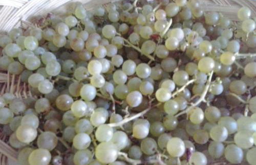 Tiara Vacaciones - Foto 29