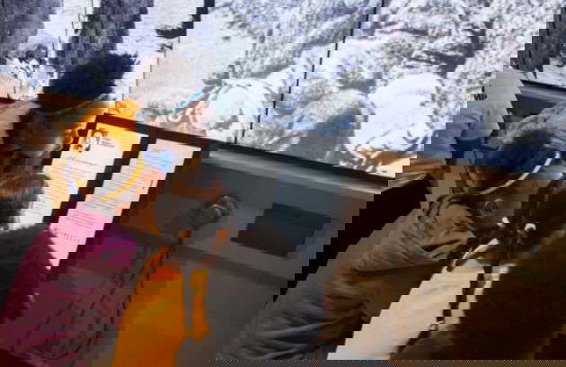 Houston Museum Pass - Foto 3