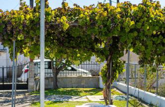 Avdira Seaside Retreat - Foto 25