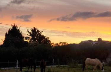 Sondela Self Catering - Foto 66