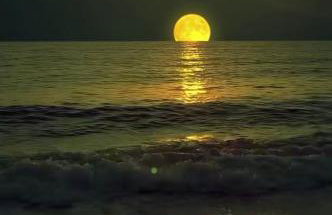 Ακτή Βολέρι panoramic view suite-parking-5g wifi - Foto 56