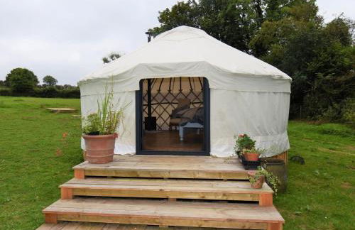 1 Bed in Rhydowen 85415 - Photo 5