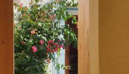 Maison d artiste - Foto 3, Garden view