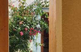 Maison d artiste - Foto 3