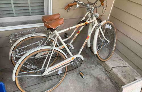 Unique Luxury Central Historic Landmark Home - Foto 63