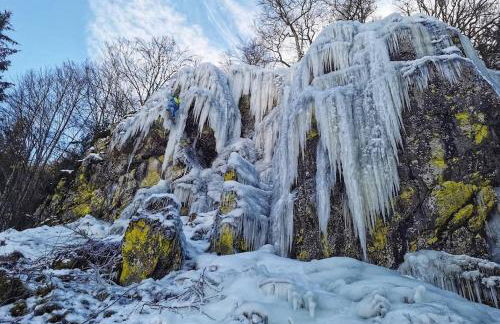 Grüner Wohnen im Alten Schulhaus - Foto 29