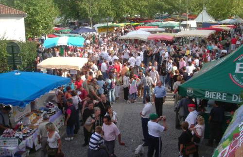 T3 pays du piment d'Espelette - Foto 20