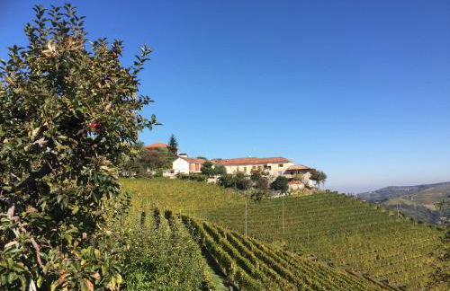 Agriturismo Finestre di Langa - Foto 4