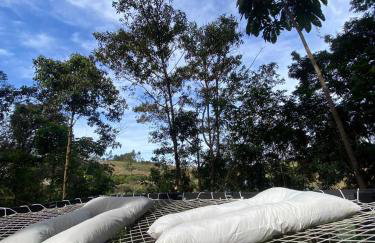 Chalé da lagoa - Foto 6