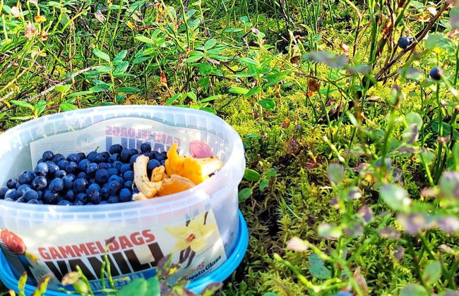 5 Person Holiday Home in Gamleby-by Traum - Photo 15