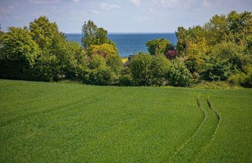 La Casa Ferienwohnung Seeadler - Foto 21