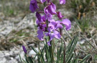 Albergo Diffuso Magredi - Foto 67