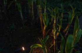 Uporto House Palace - Foto 40