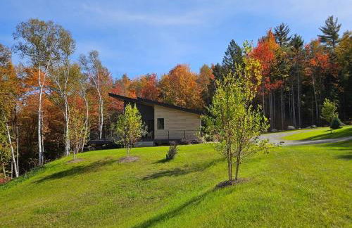 1B Birch House - Photo 1