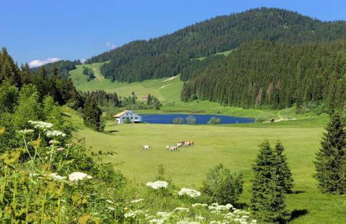Charme et quiétude au cœur du Haut-Jura - Foto 34