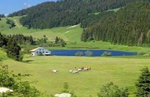 Studio GIMAZANE - Foto 18