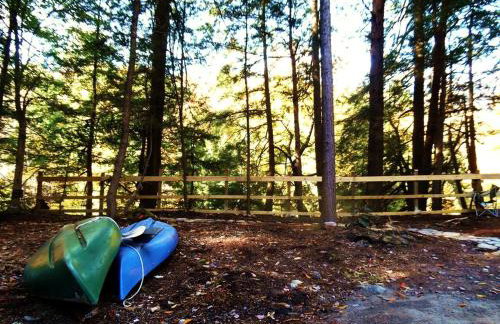 Rustic Woodland Cabin Rental near Oneida Lake, New York - Foto 21