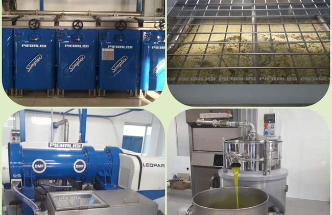 Feudo delle Querce - Foto 26