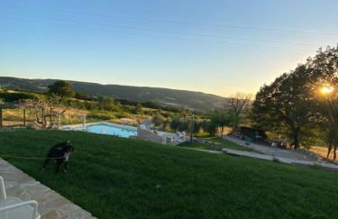 Agriturismo Pane e Olio - Photo 14