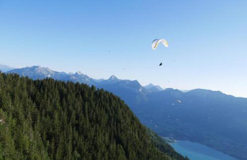 Appartement 4 personnes Lac d'Annecy - Foto 49