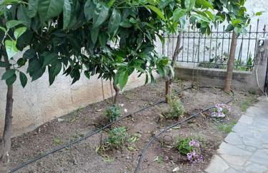 Anatoli apartment - Photo 33