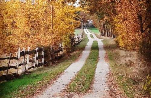 Der Konikhof, Natur, Ruhe, R-Auszeit - Photo 29