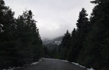 Trifonakia - Photo 13