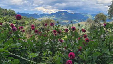 Recanto do Leão - Foto 4