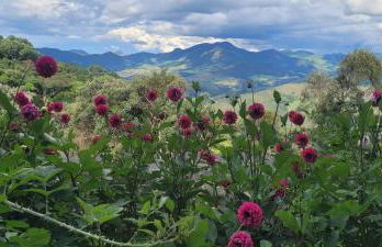 Recanto do Leão - Foto 4