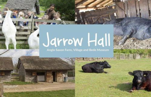 The Seaview - South Shields - Foto 43