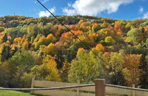 Chata pod Cebulówką - Foto 29