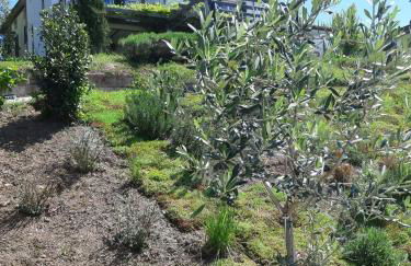 Villa Pavone - Foto 30