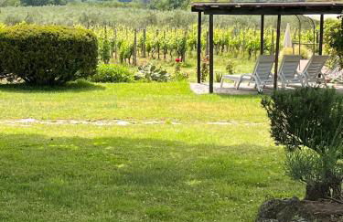 Agriturismo San Jacopo - Foto 33